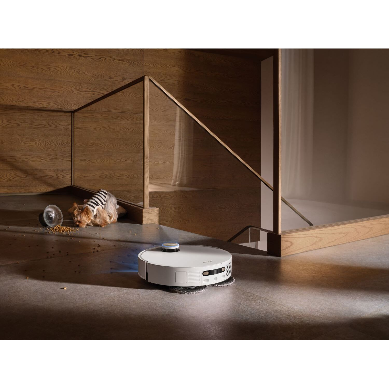 Robot vacuum cleaner cleaning, dog and scattered food in scene.