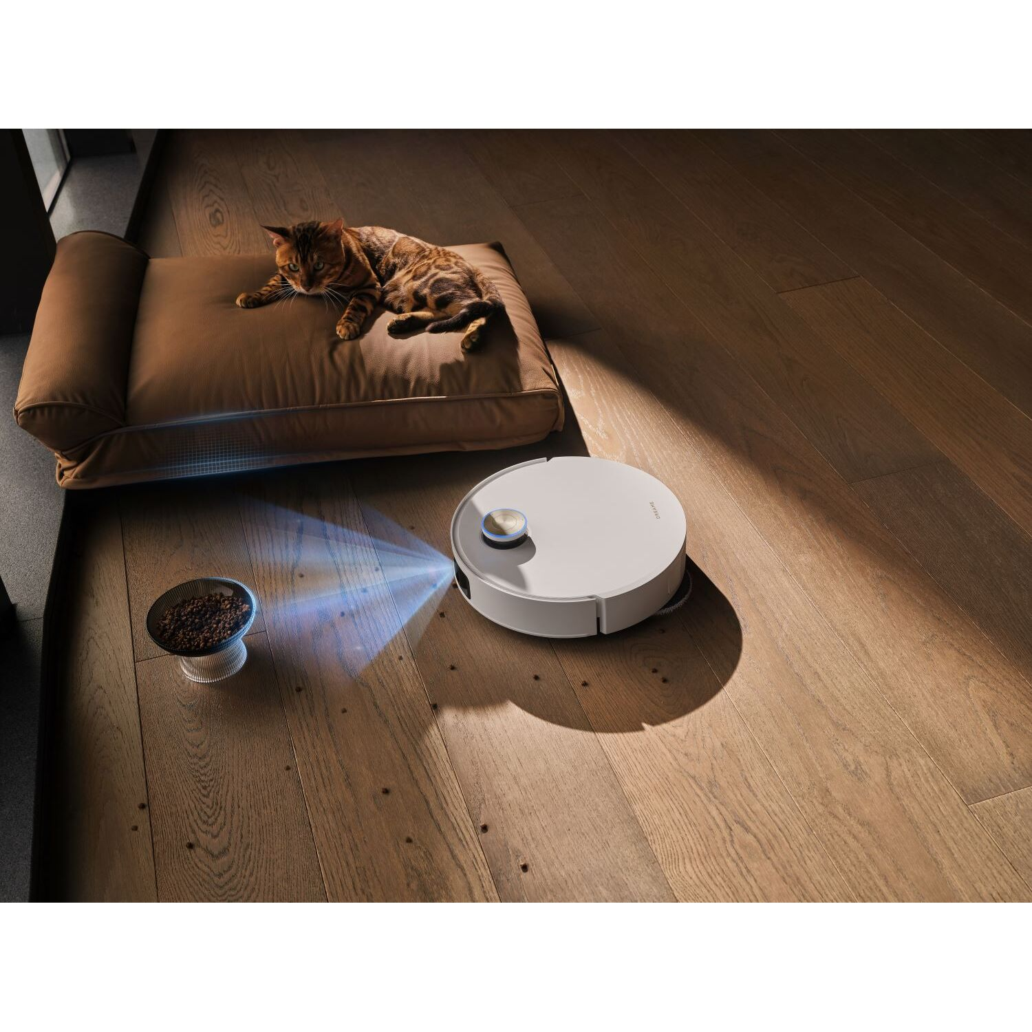 A cat lying on a brown cushion, with a robot vacuum cleaner.