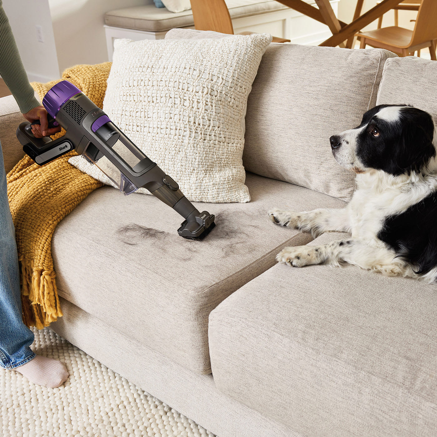 Una persona aspira un divano con un aspirapolvere portatile. Un cane è sul divano.