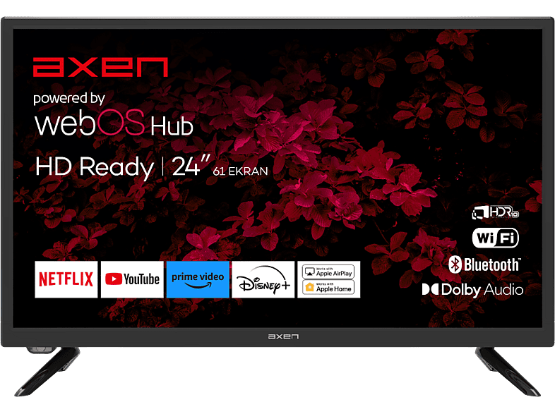 AXEN AX24LEDI262C-S 24 inç 60 Ekran Uydu Alıcılı Smart webOS TV