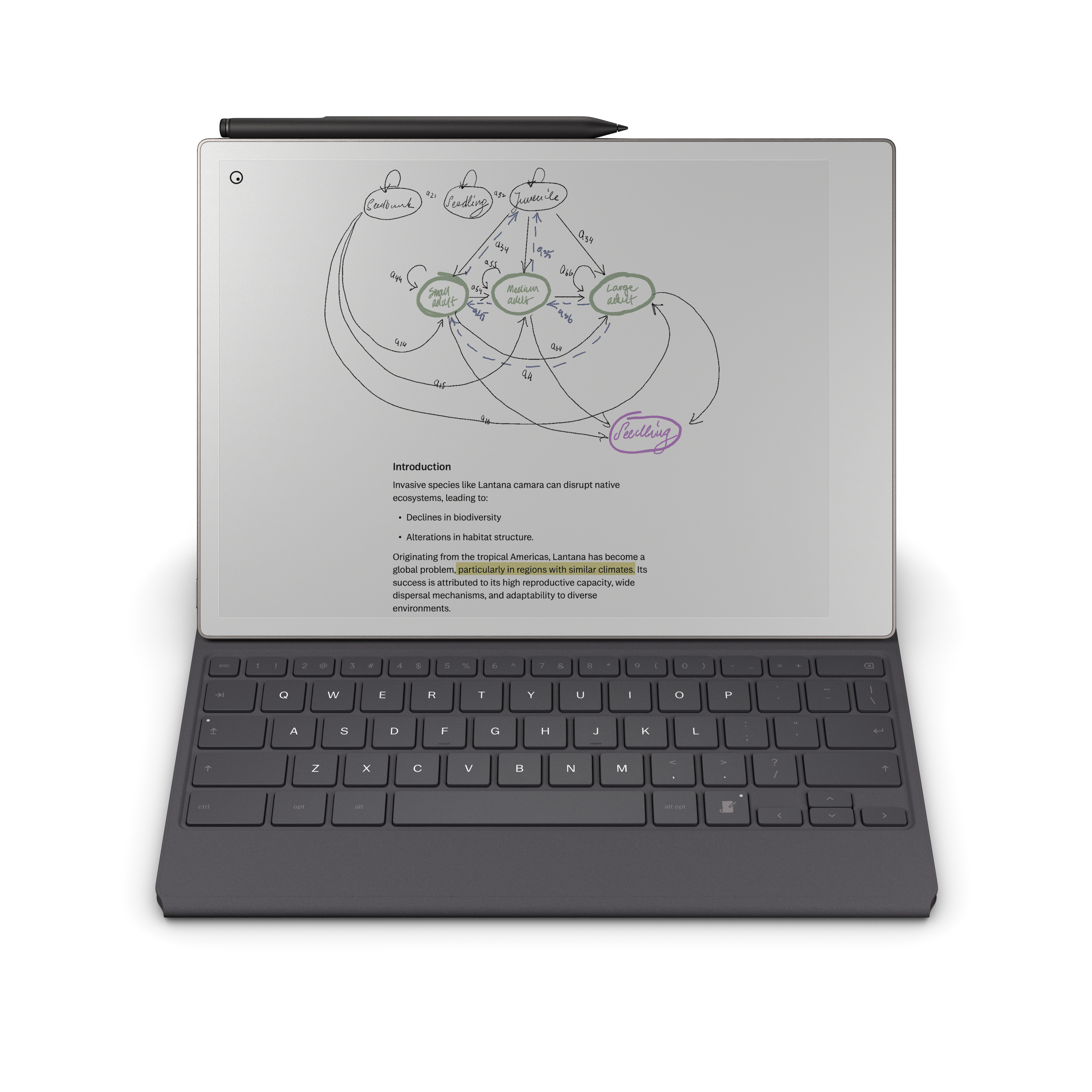 Ein Tablet mit Diagramm auf dem Bildschirm und Tastatur. Ein Stift liegt oben. Der Bildschirm ist angewinkelt.