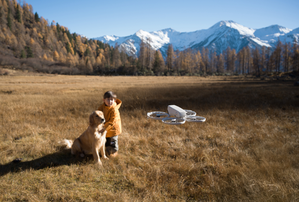Chłopiec, pies i dron w polu.