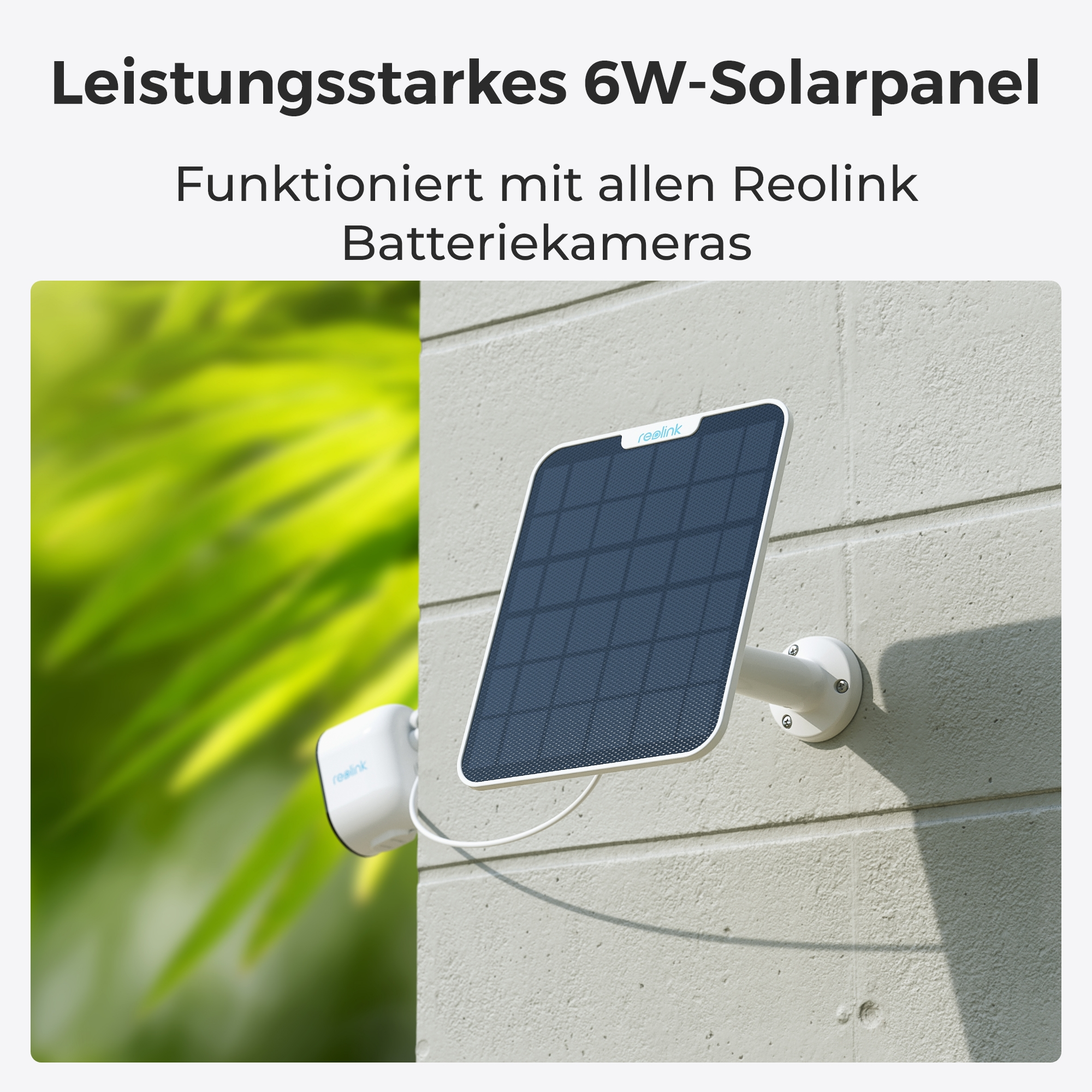 Ein Solarpanel und eine Überwachungskamera an einer Wand mit grünem Laub im Hintergrund. Text: 'Solarpanel'.