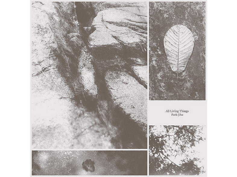 Park Jiha - All Living Things - (CD)