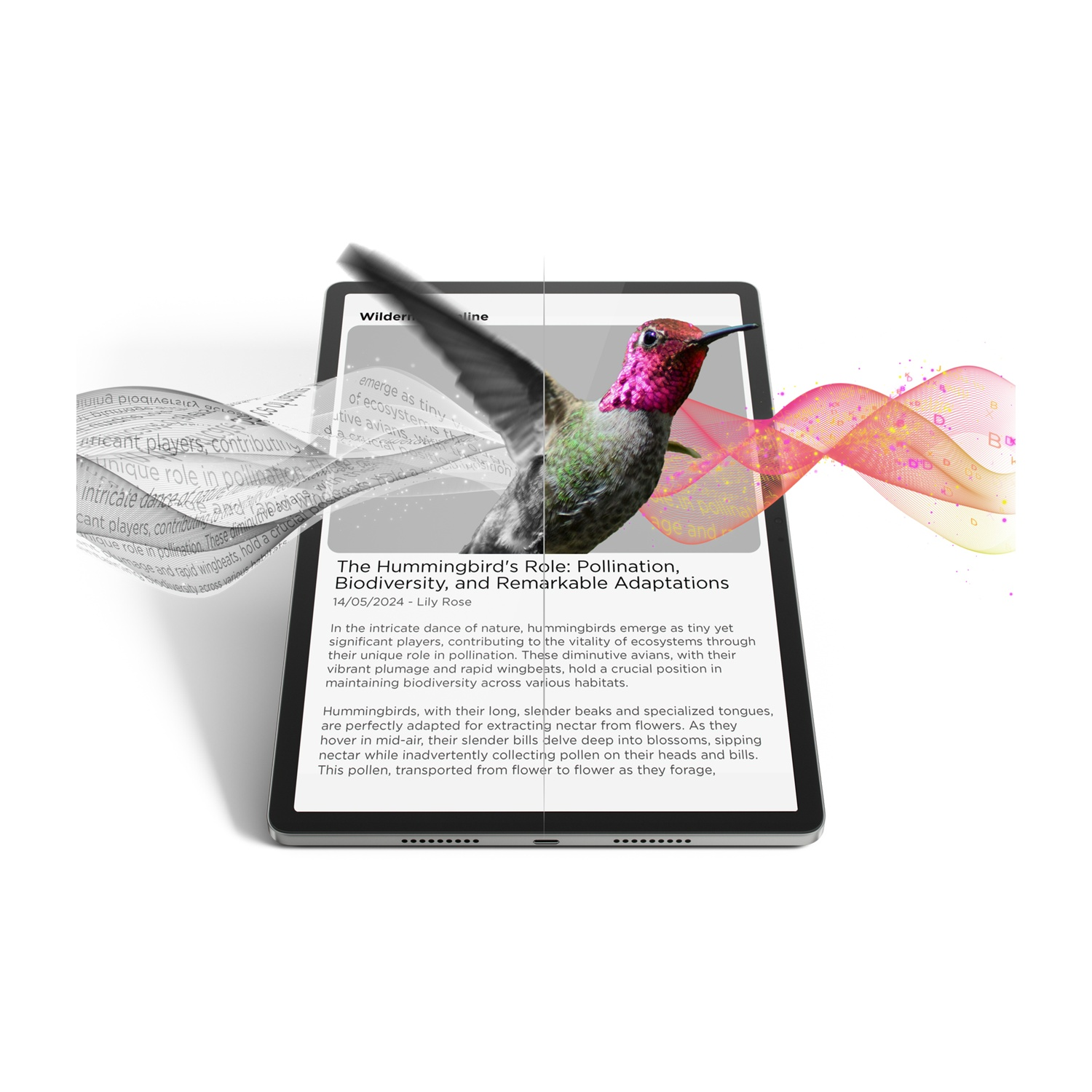Tablet con testo sui colibrì e immagine di colibrì, con elementi grafici astratti.