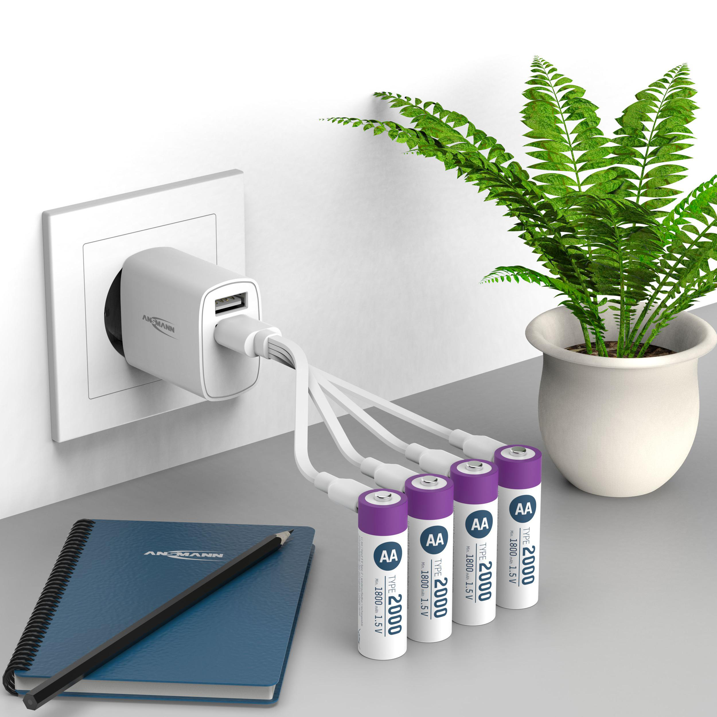Vier AA-Batterien und eine Pflanze, die über ein USB-Ladegerät und ein Kabel geladen werden.