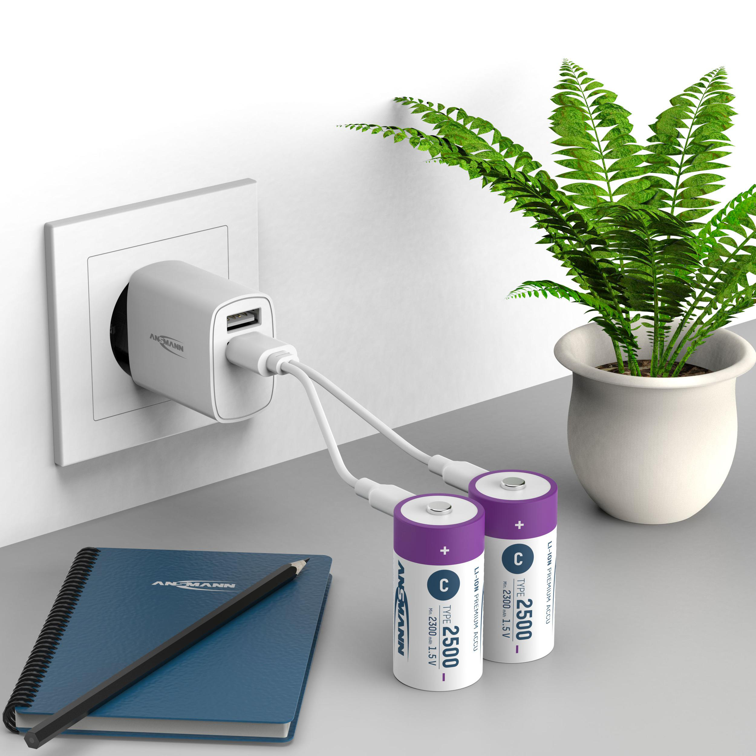 Zwei C-Batterien und eine Pflanze, die über ein USB-Ladegerät und ein Kabel geladen werden.