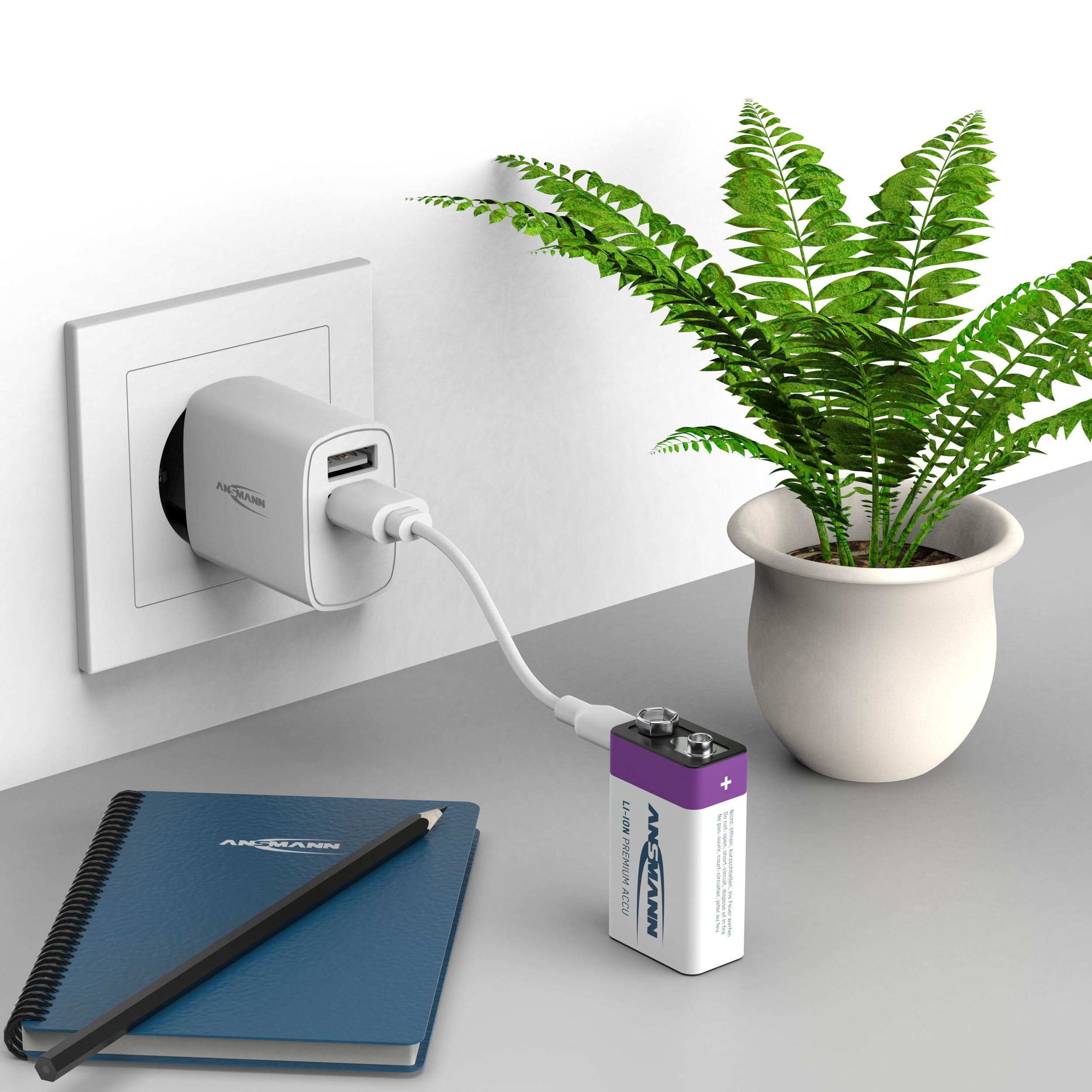 Eine 9V-Batterie und eine Pflanze, die über ein USB-Ladegerät und ein Kabel geladen werden.