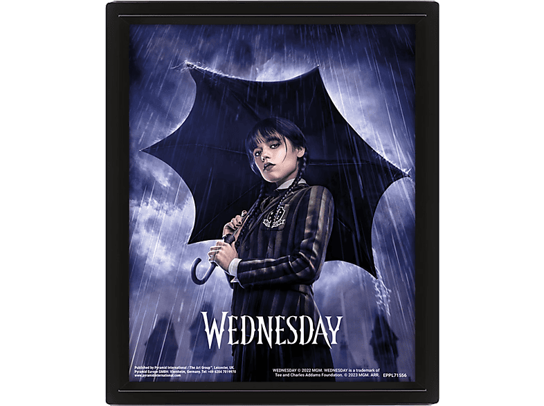 PYRAMID MIERCOLES - POSTER 3D UMBRELLA