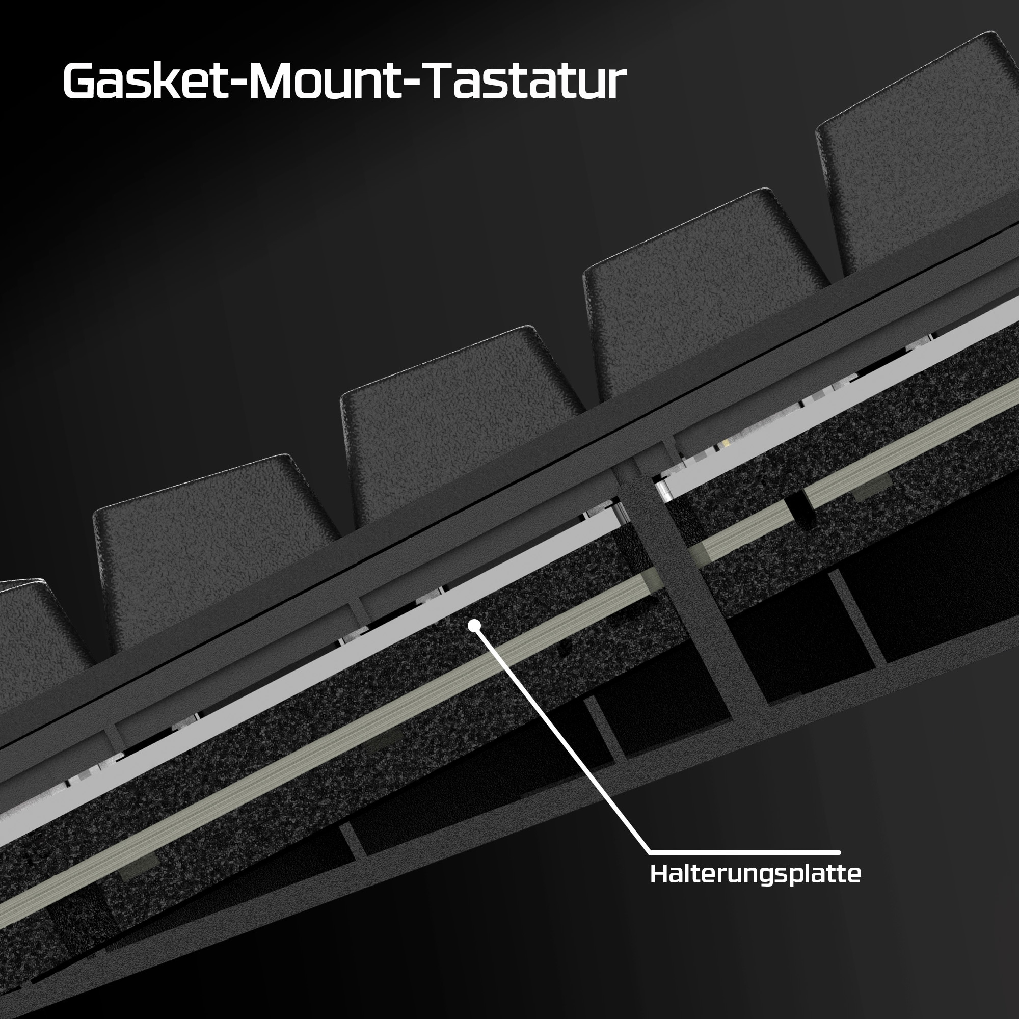 Querschnitt einer Tastatur, der die Innenkonstruktion mit einer Montageplatte zeigt.