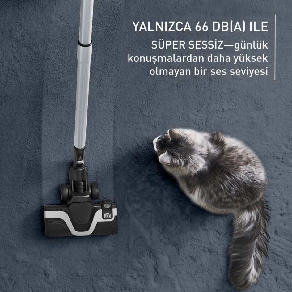 Gri bir halıda yatan kedi, yakın çekim. Kürk detayları görünür.