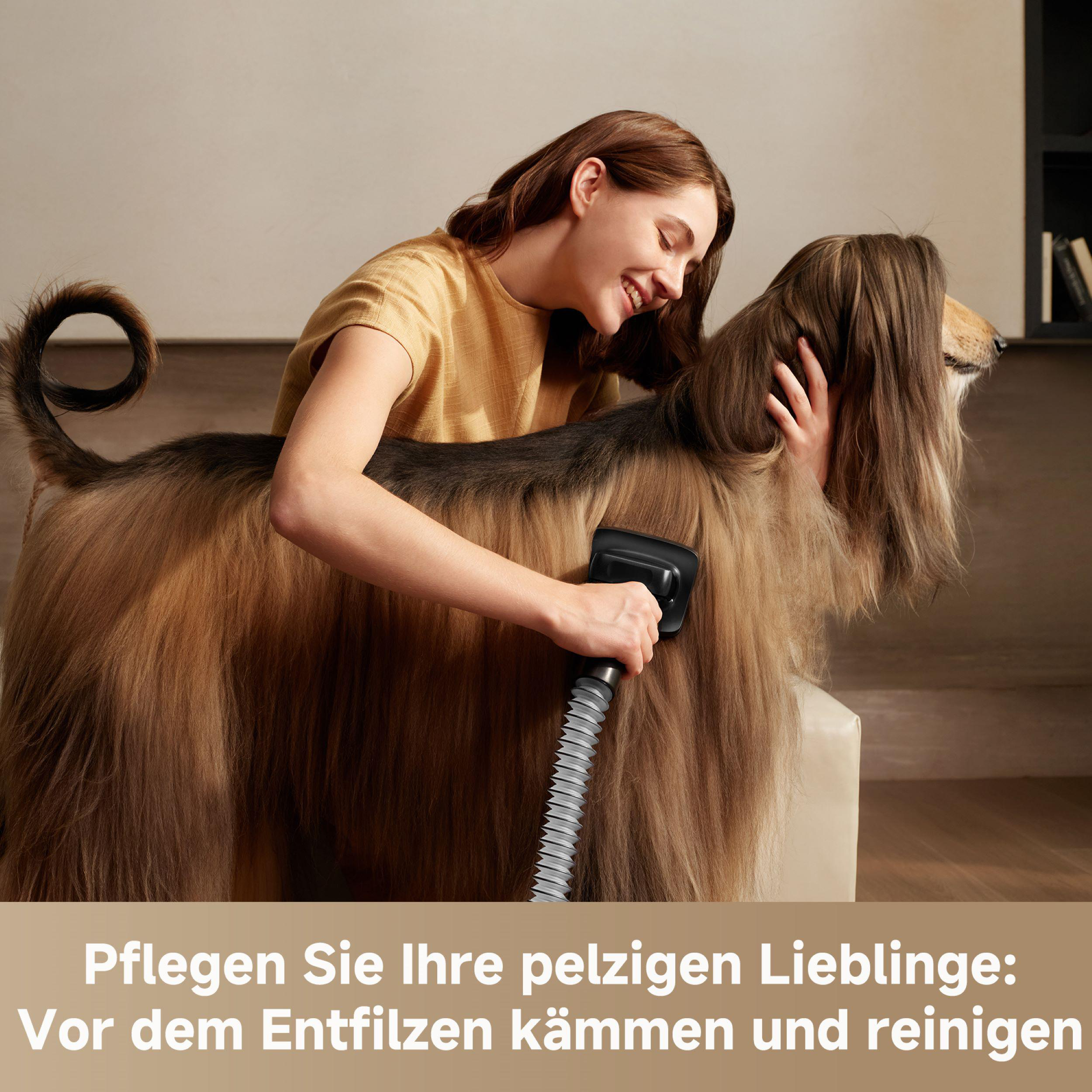 Eine Frau, die einen Hund mit einem Fellstaubsauger drinnen pflegt.