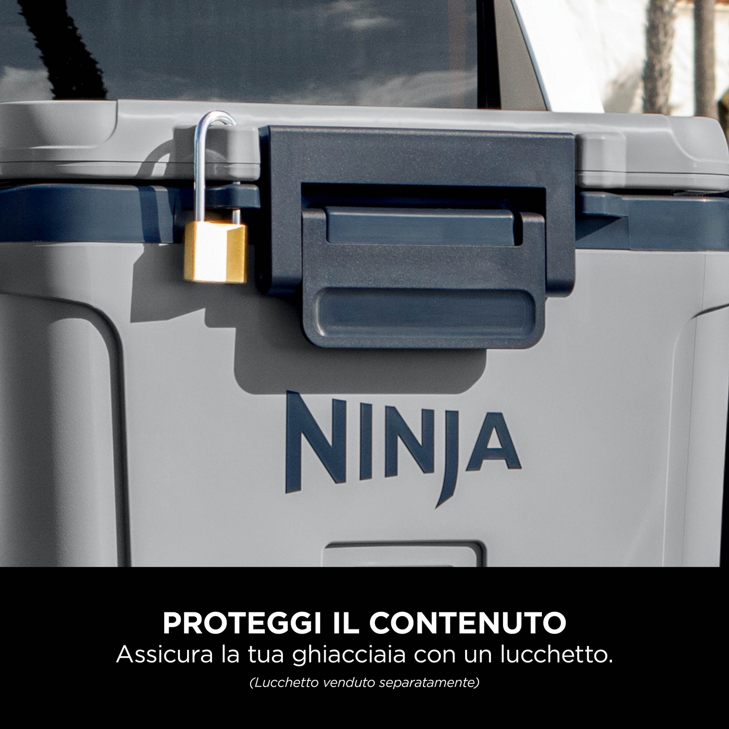 Un contenitore termico grigio con coperchio nero, chiuso con un lucchetto dorato. Logo Ninja.