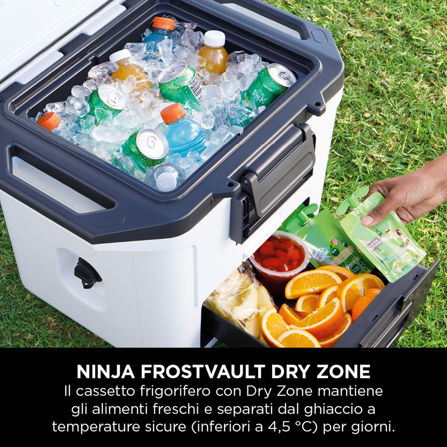 Borsa frigo bianca e nera con ghiaccio, bevande e arance.