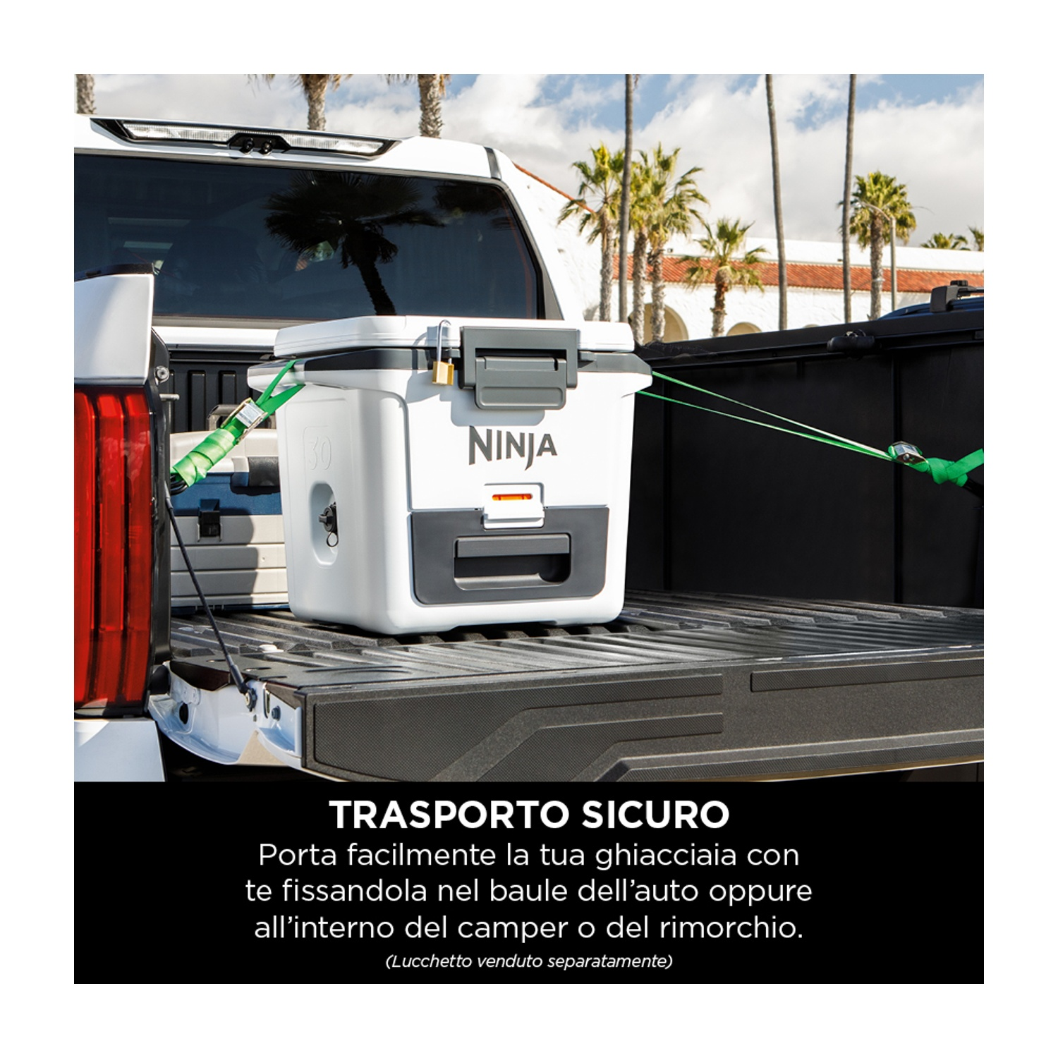 Contenitore frigo bianco in un cassone, assicurato con cinghie. Sfondo: palme.