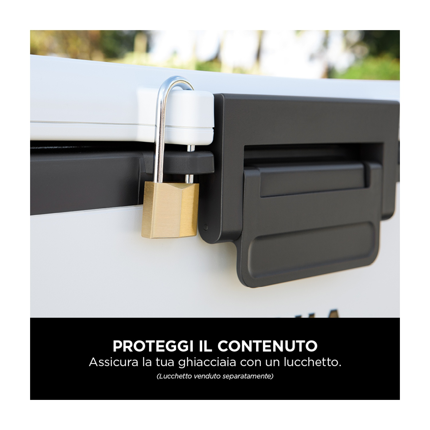 Un primo piano di una ghiacciaia con un lucchetto e una didascalia in italiano: "PROTEGGI IL CONTENUTO".