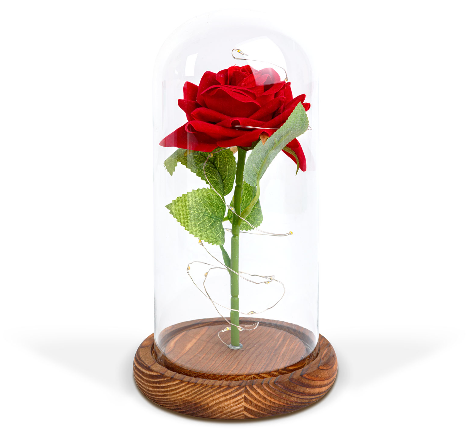 FAMILY Örökrózsa LED-del (DA00154)