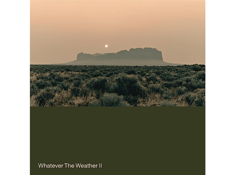 Whatever The Weather - whatever the weather ii (ltd. drak green vinyl) - (Vinyl)