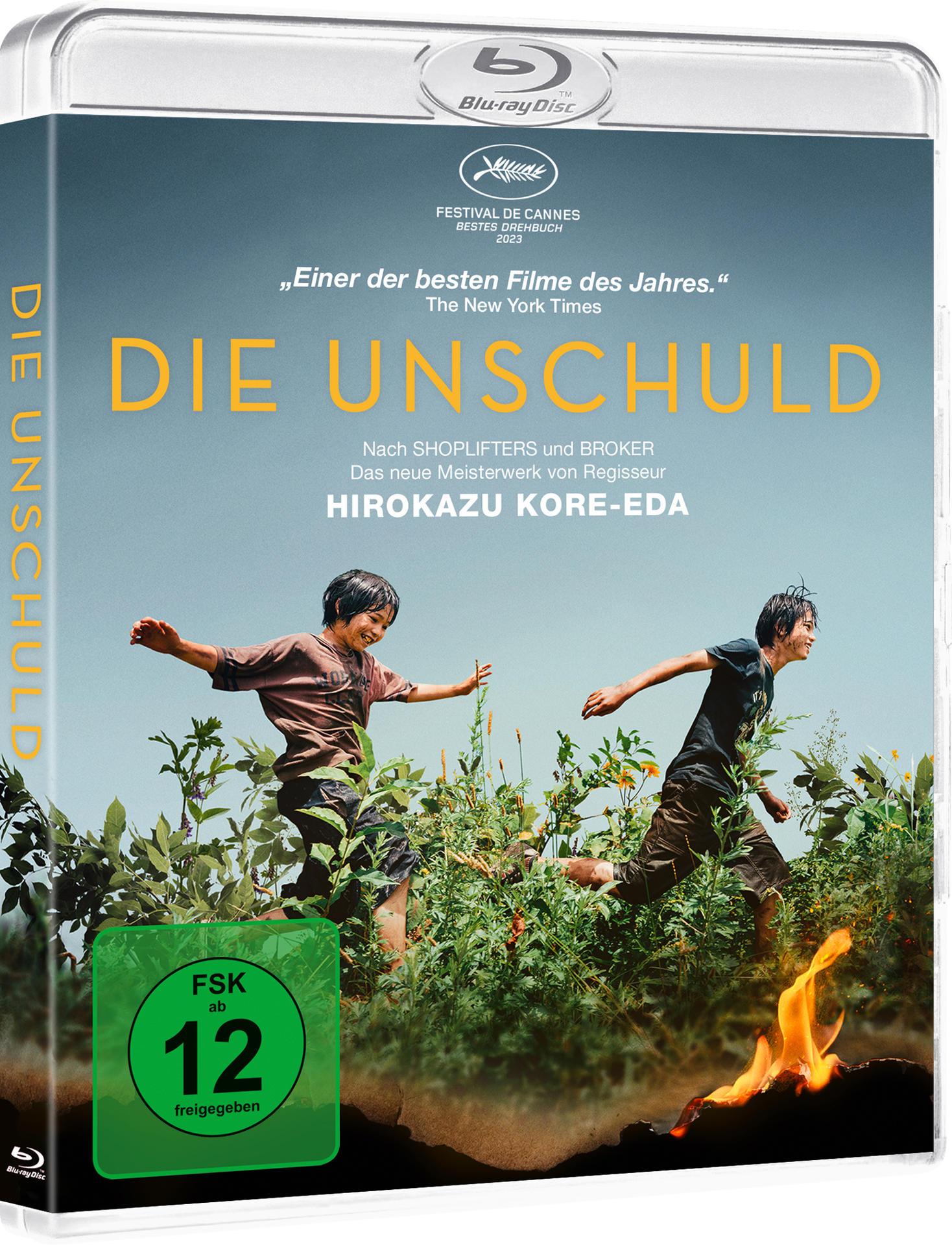 Filmcover mit zwei Jungen, die durch hohes Gras laufen, Feuer.