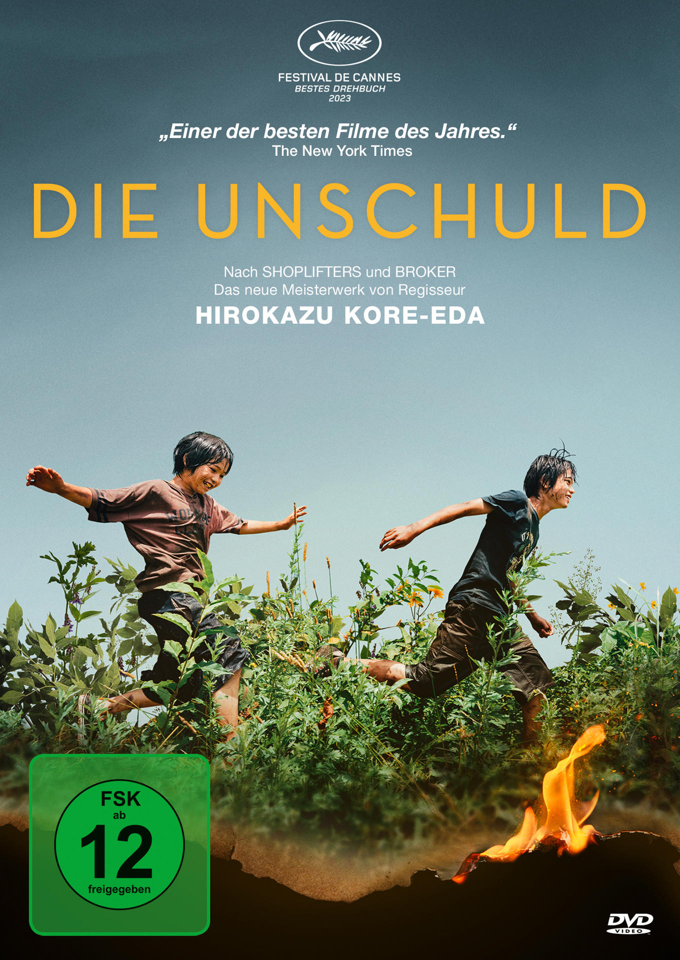 Filmposter mit zwei Jungen, die durch hohes Gras laufen, mit einem Feuer im Vordergrund. DVD-Logo.