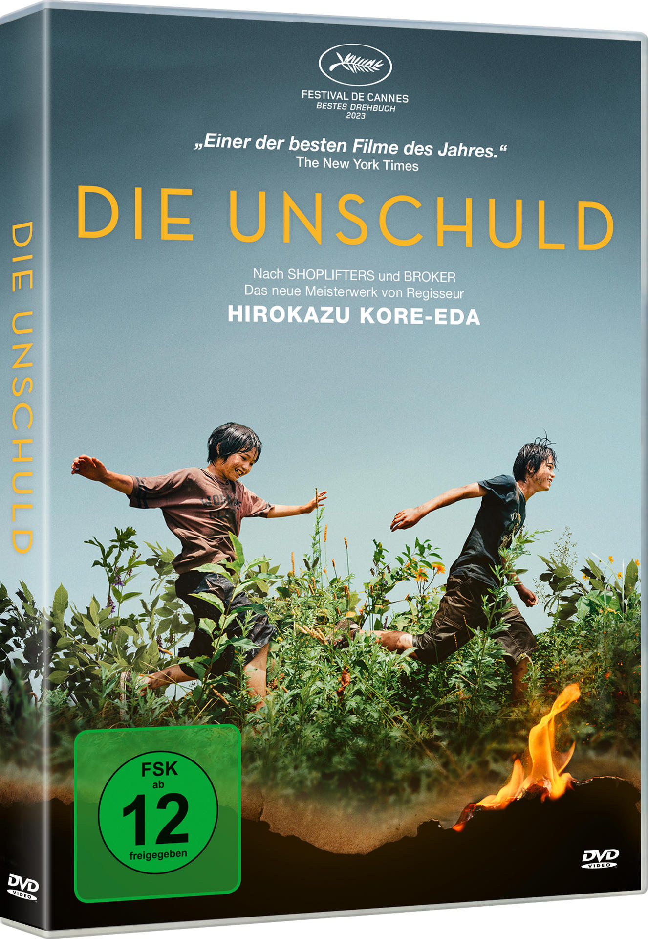 Filmcover mit zwei Jungen, die durch hohes Gras laufen, Feuer.