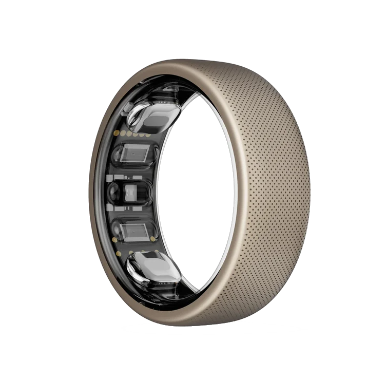 Bildbeschreibung ist nicht vorhanden