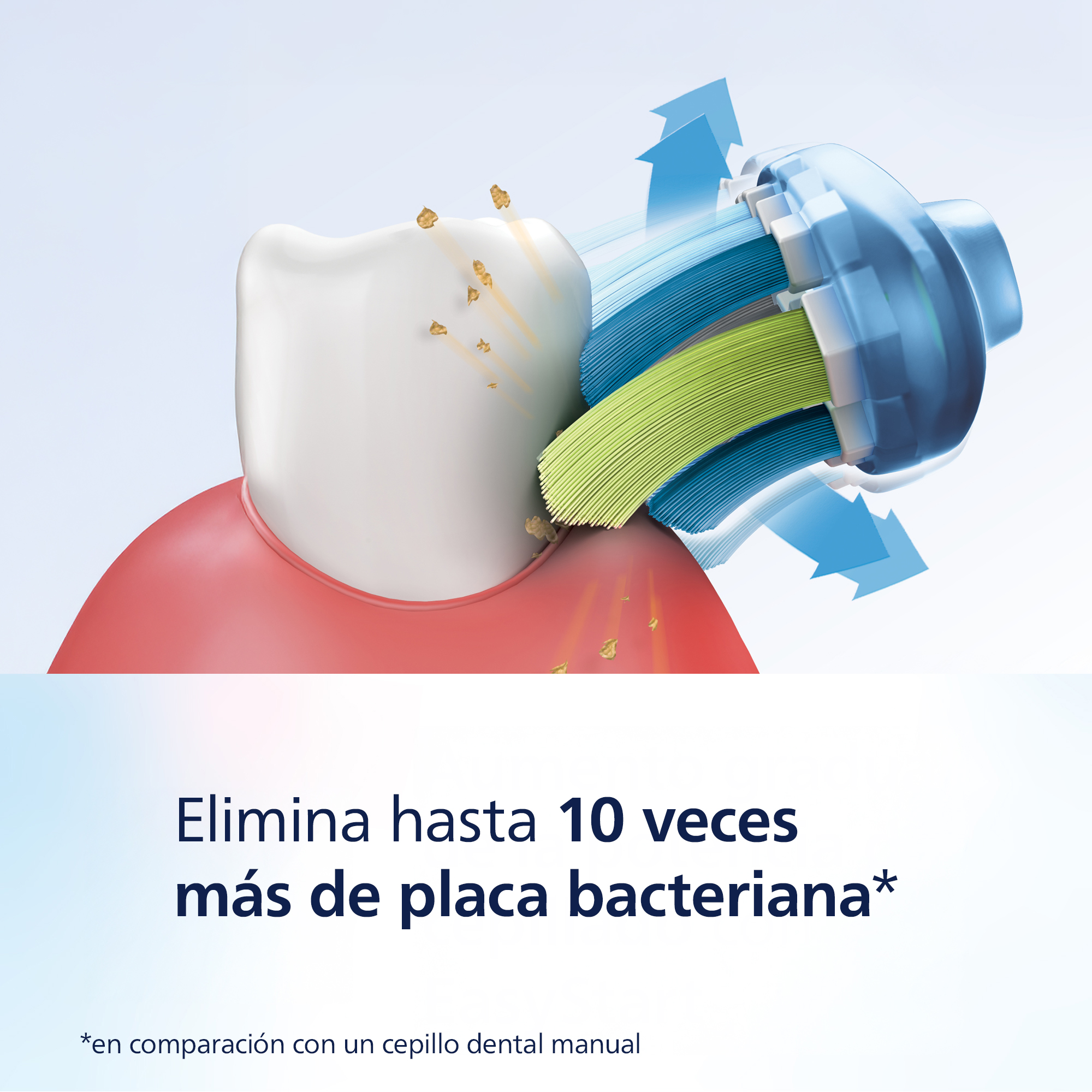 Diente y cabezal de cepillo de dientes con cerdas verdes. Acción de limpieza con flechas azules. Diente blanco y encías rojas.