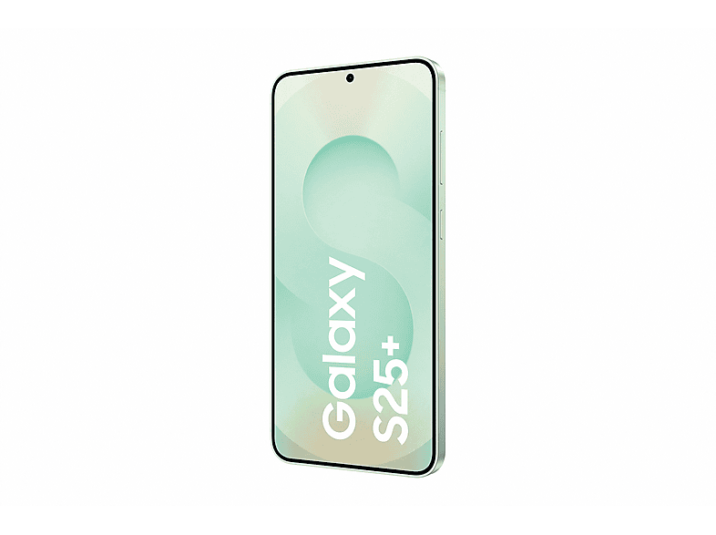 Samsung Galaxy S25+ 256GB Hellgrün