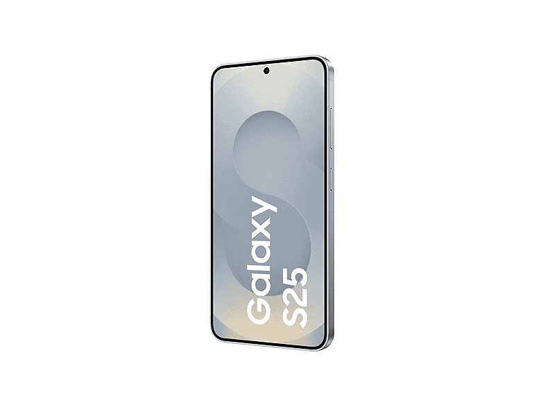 Samsung Galaxy S25