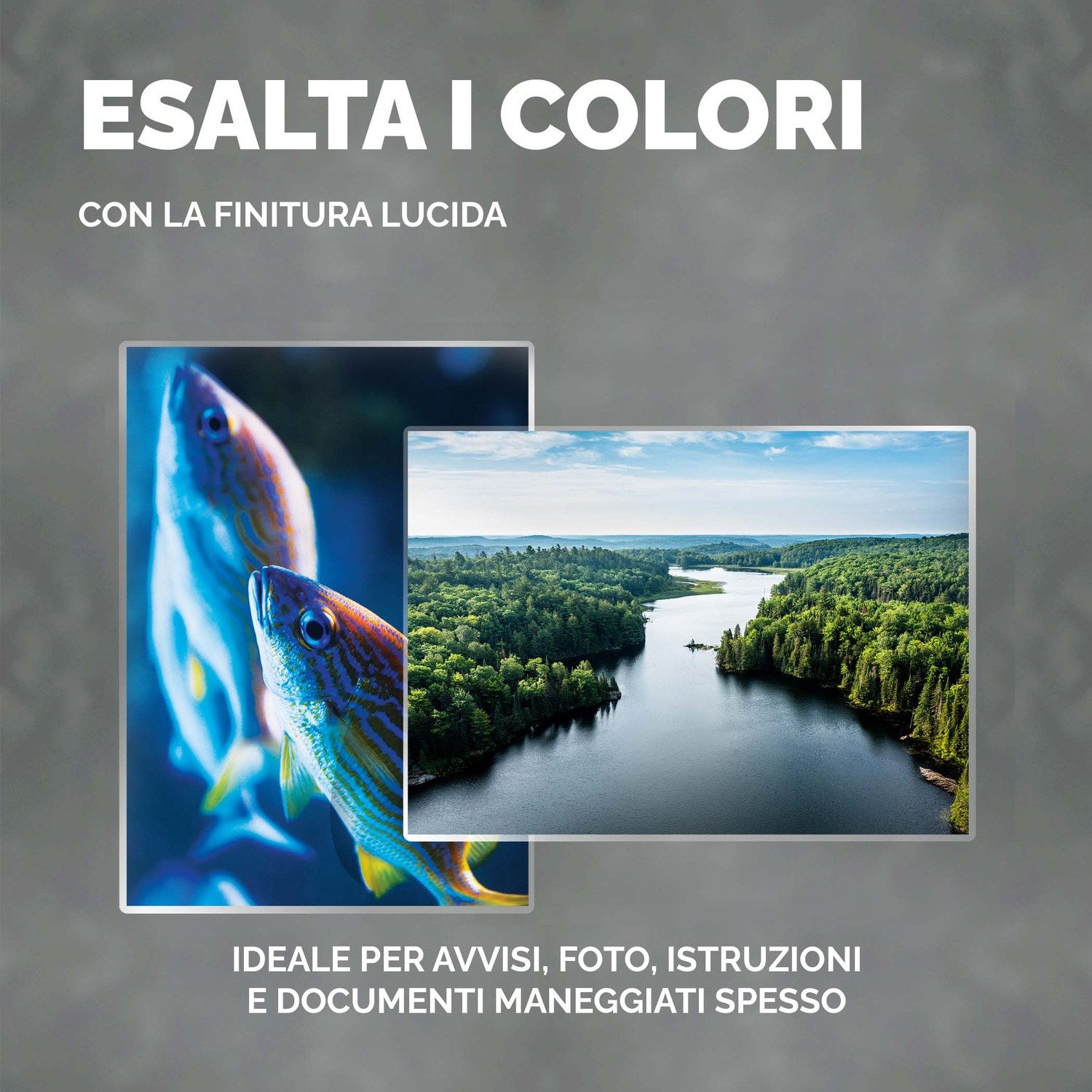 Due immagini incorniciate: una con pesci, l'altra con una scena fluviale, su sfondo grigio con testo.