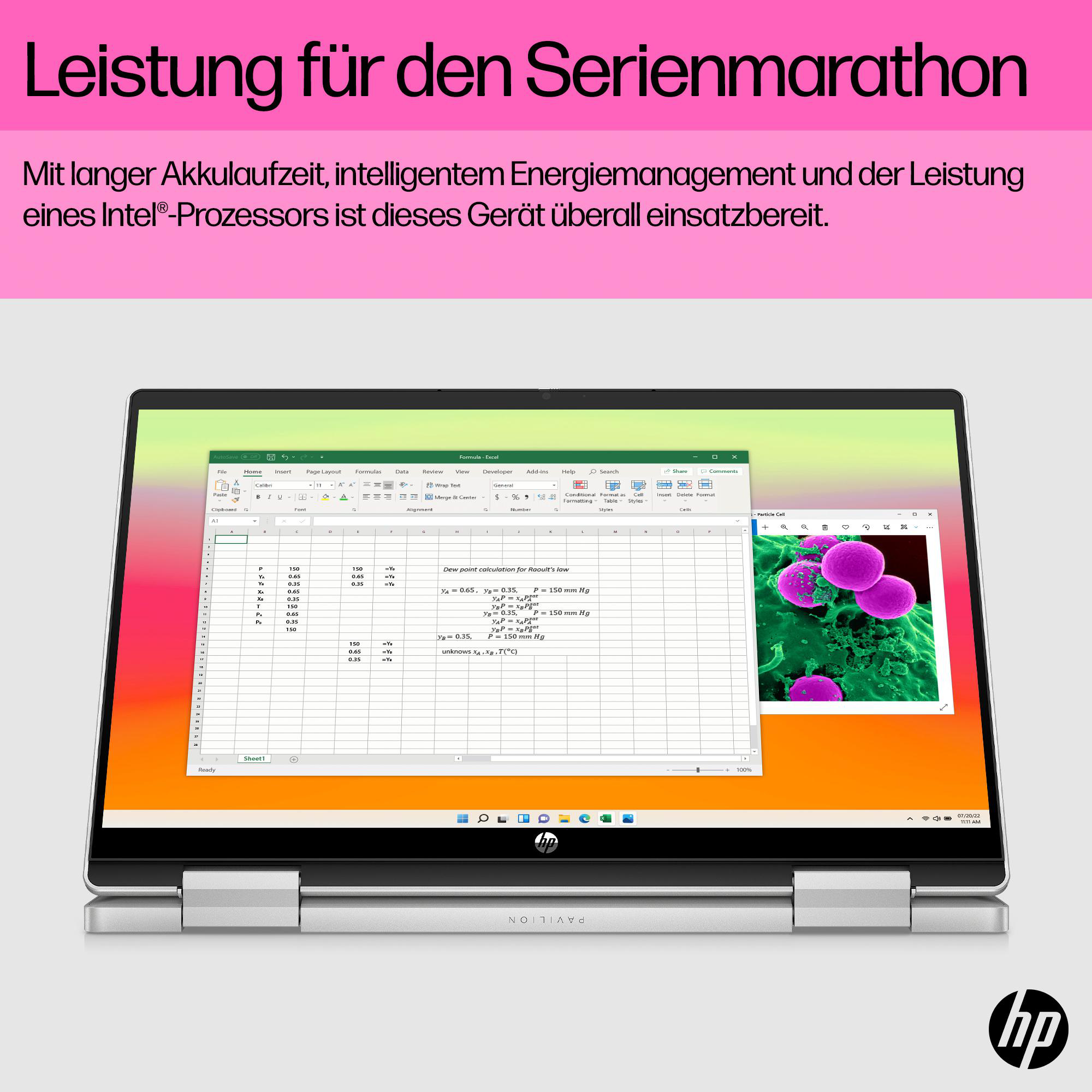 Laptop mit Tabellenkalkulation und Biologie-Bild, Text über Leistung.