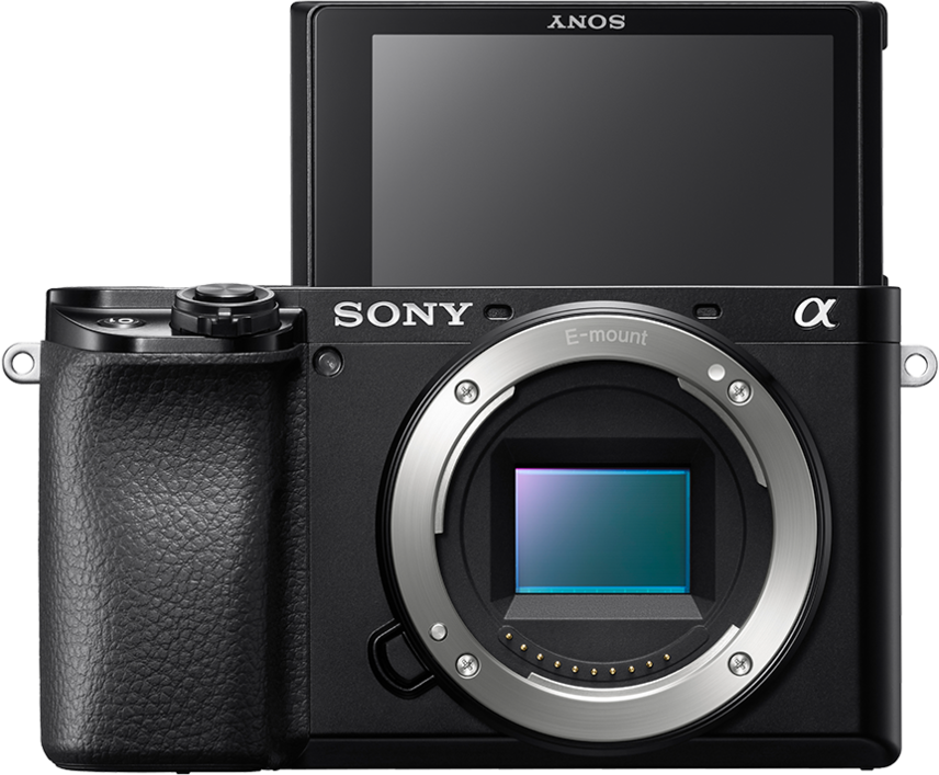 Schwarze Kamera mit ausklappbarem Bildschirm und Sony-Logo auf weißem Hintergrund.