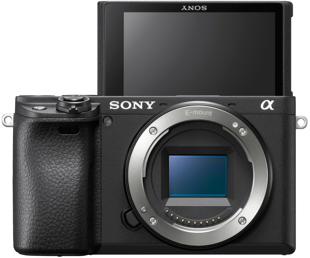 Fotocamera nera con obiettivo, schermo ribaltabile e la scritta SONY sopra.