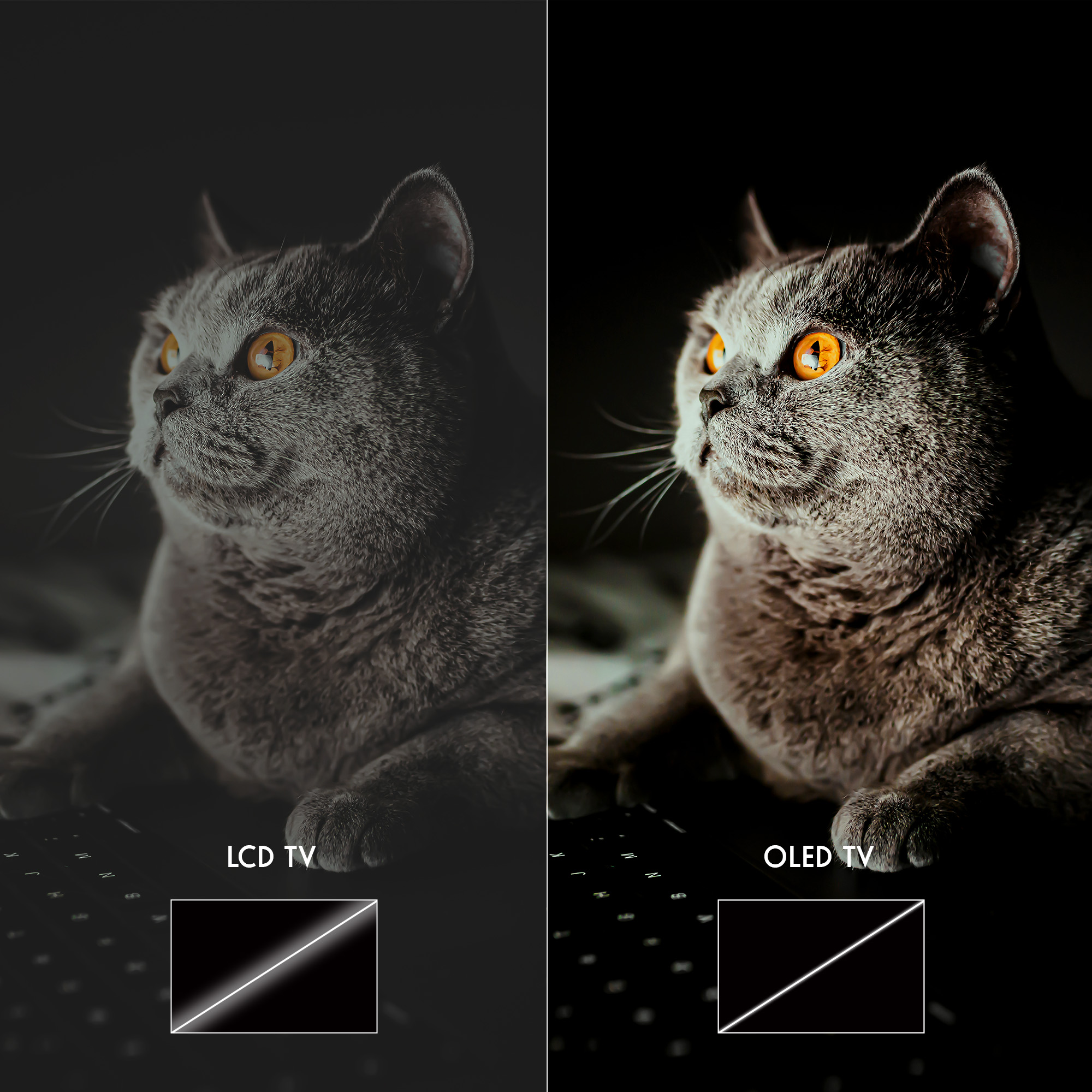 Turuncu gözlü kedi, LCD ve OLED olmak üzere iki ekranda.
