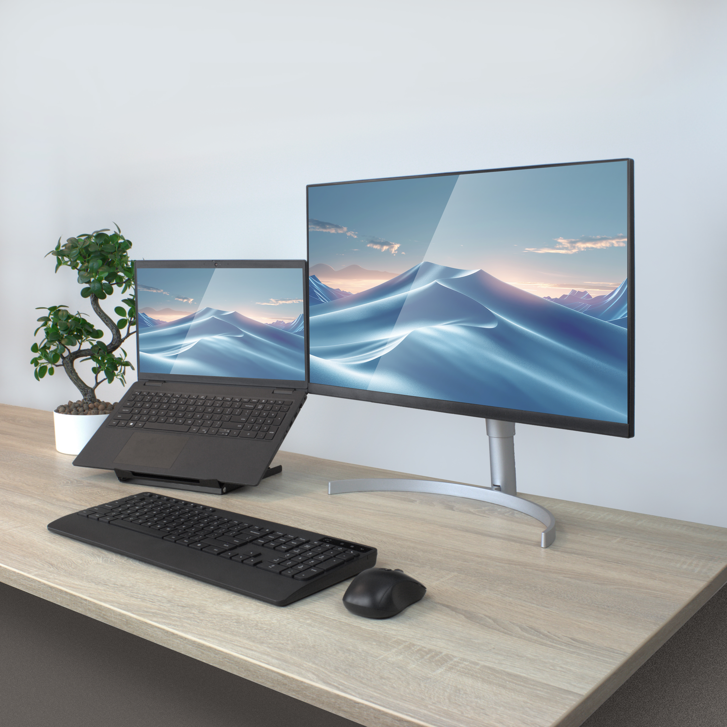 A desk with a laptop, monitor, keyboard, and mouse. A small plant is on the left side.