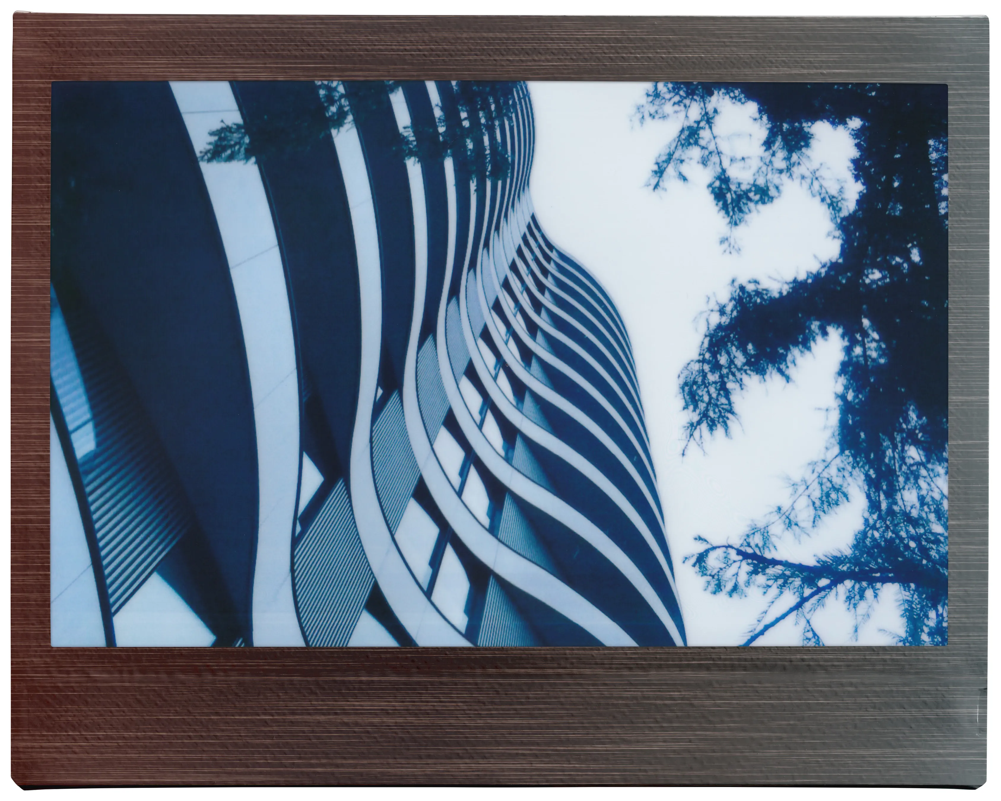Bâtiment moderne avec une façade incurvée. Le bâtiment est encadré par un cadre sombre et des branches d'arbres.