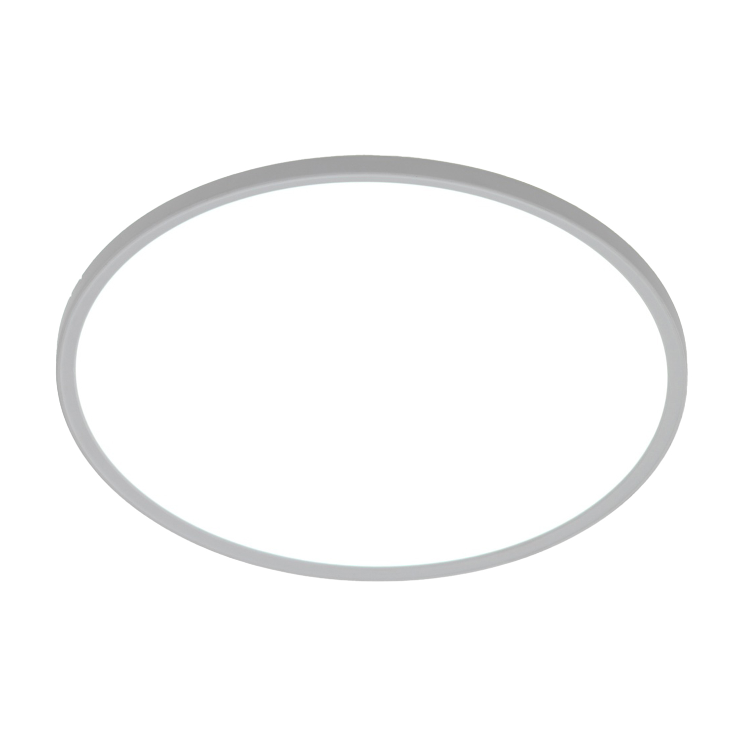 Un apparecchio di illuminazione a soffitto a forma ovale bianco, isolato su sfondo bianco. Design semplice.