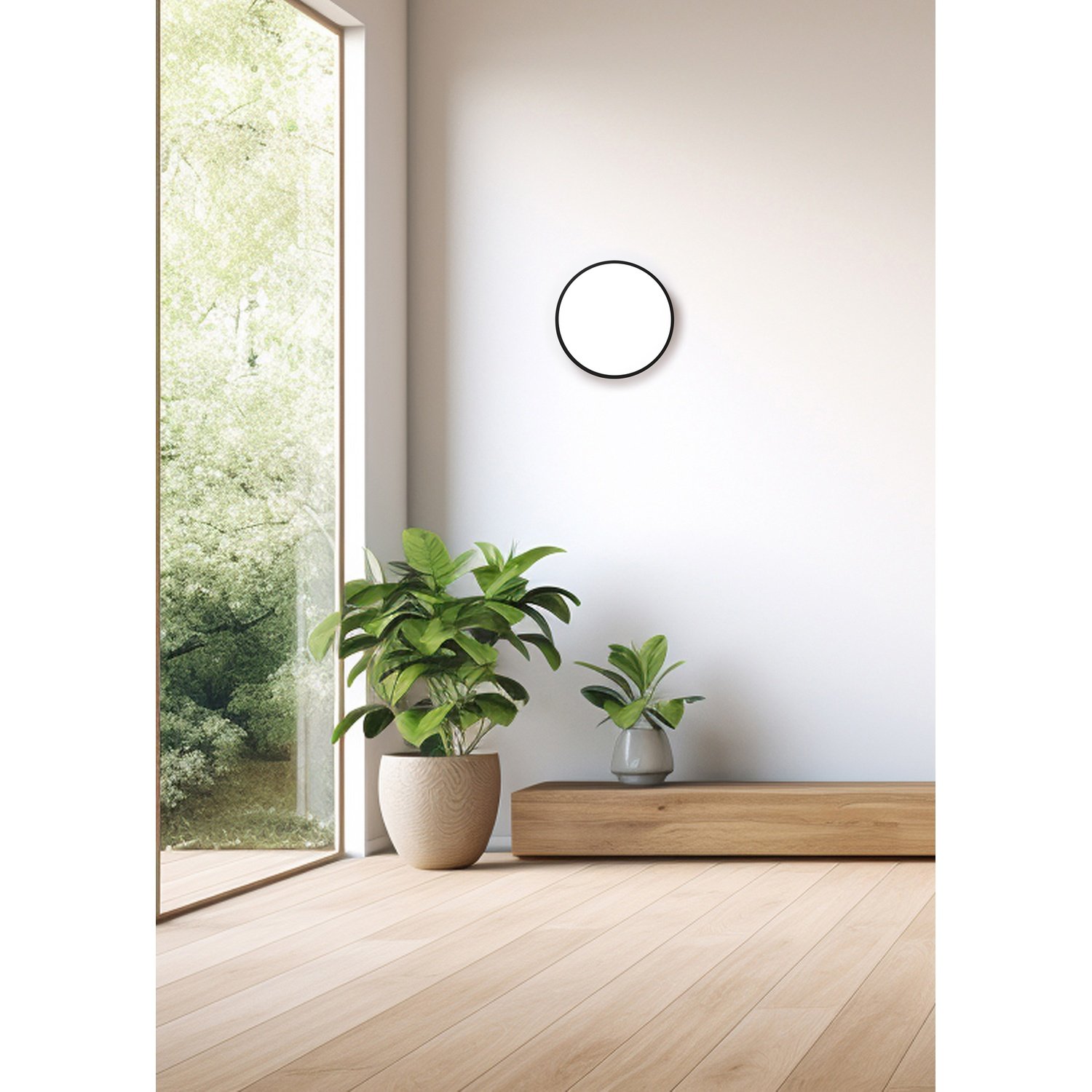 Scena d'interni: piante, pavimento in legno e un orologio da parete rotondo. Luce solare attraverso la finestra, muro bianco.