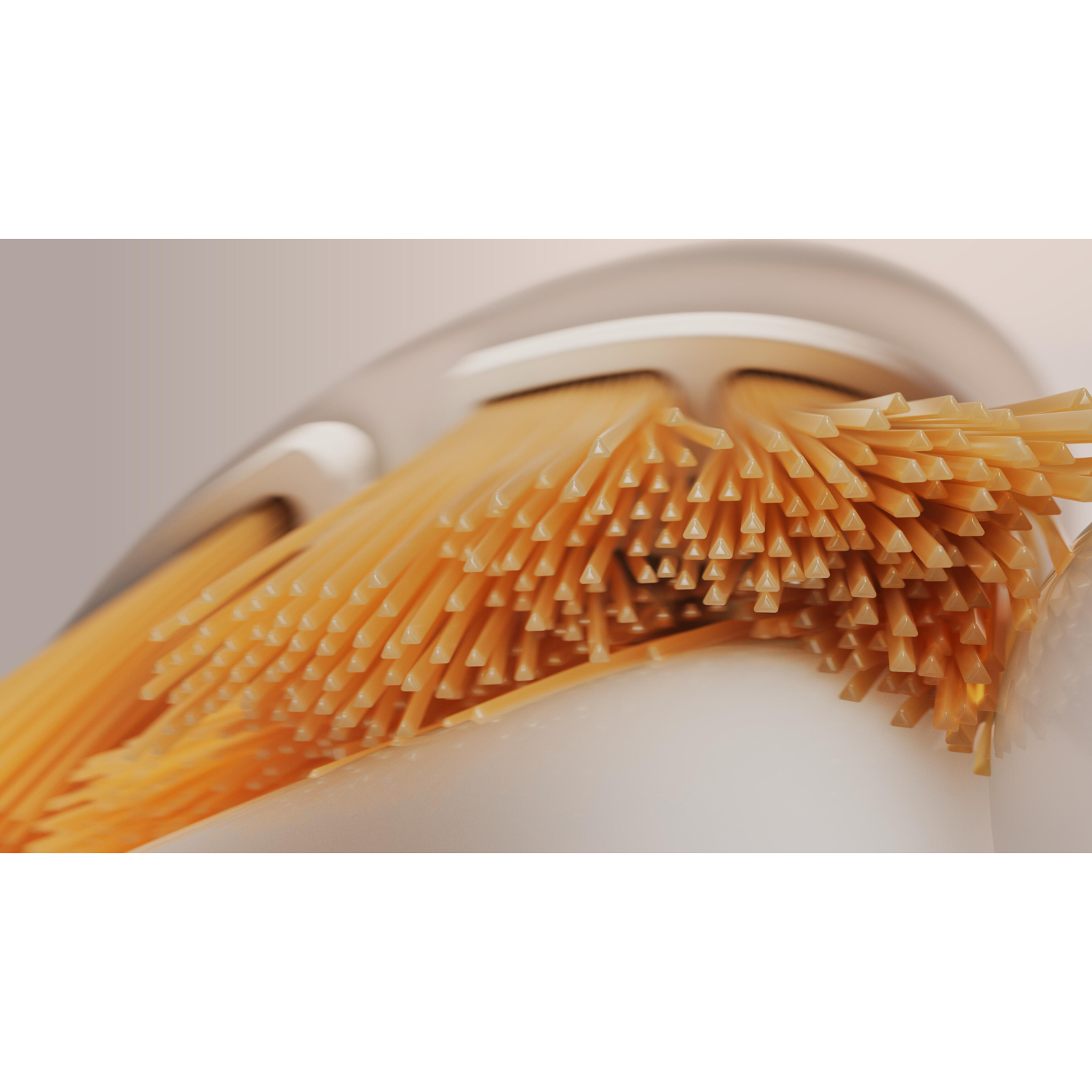 Close-up of a toothbrush head, showing the bristles, and the angled design of the brush.