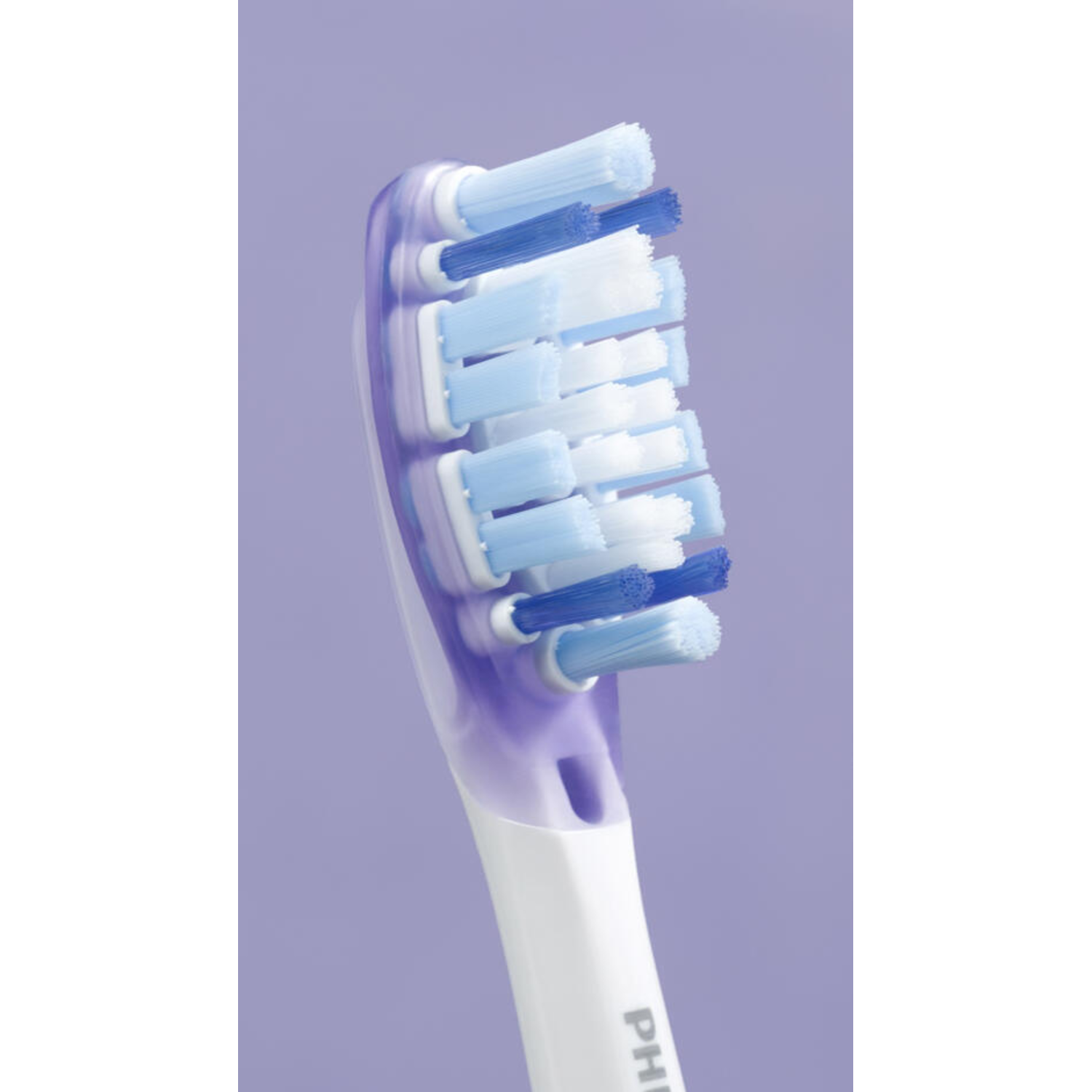 Close up of a toothbrush head with blue and white bristles on a purple background.