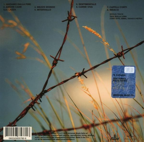 Albumcover mit Stacheldraht, Gras und blau-grauem Hintergrund.