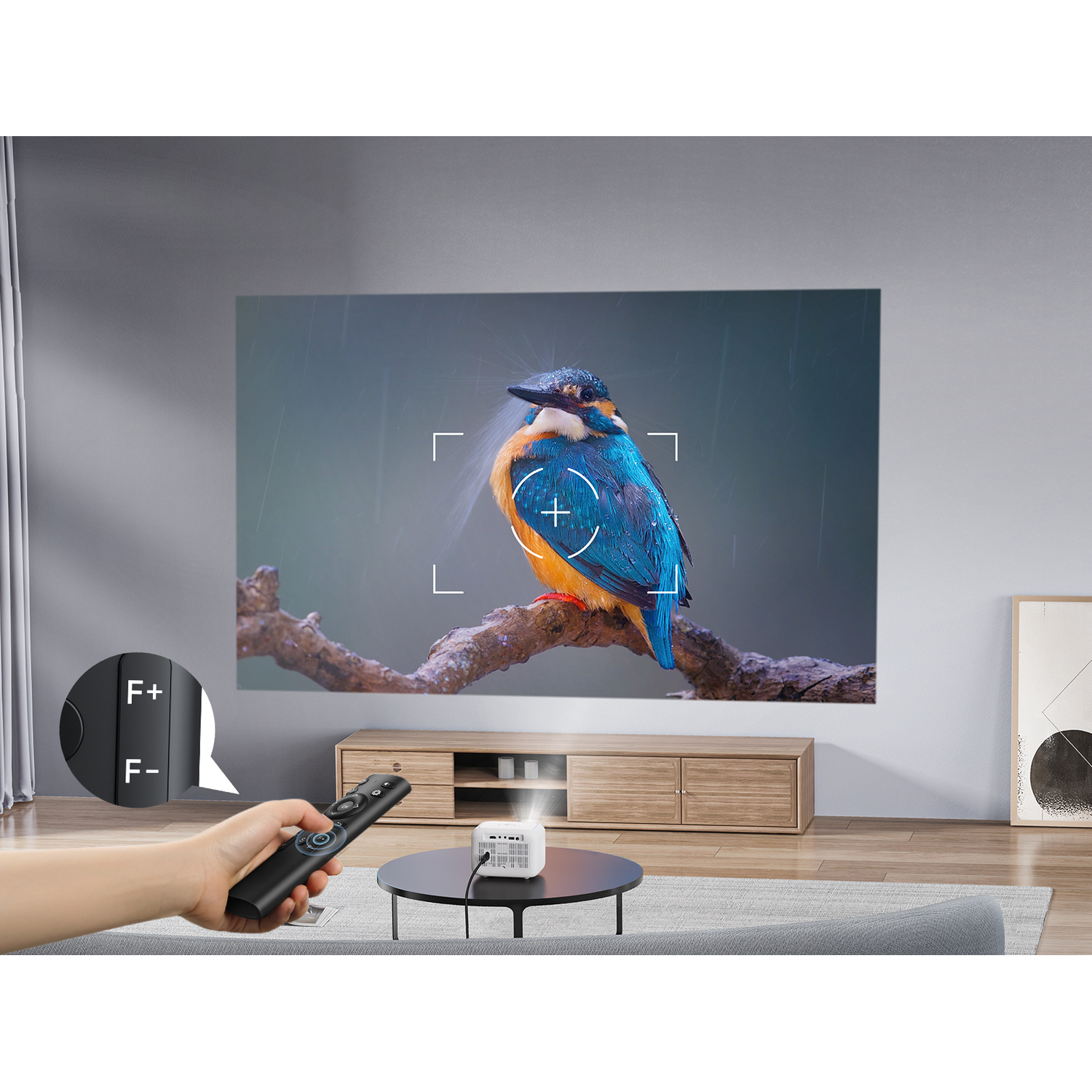 A projector displays a bird image on a wall. A remote control is held. Wooden furniture is below.