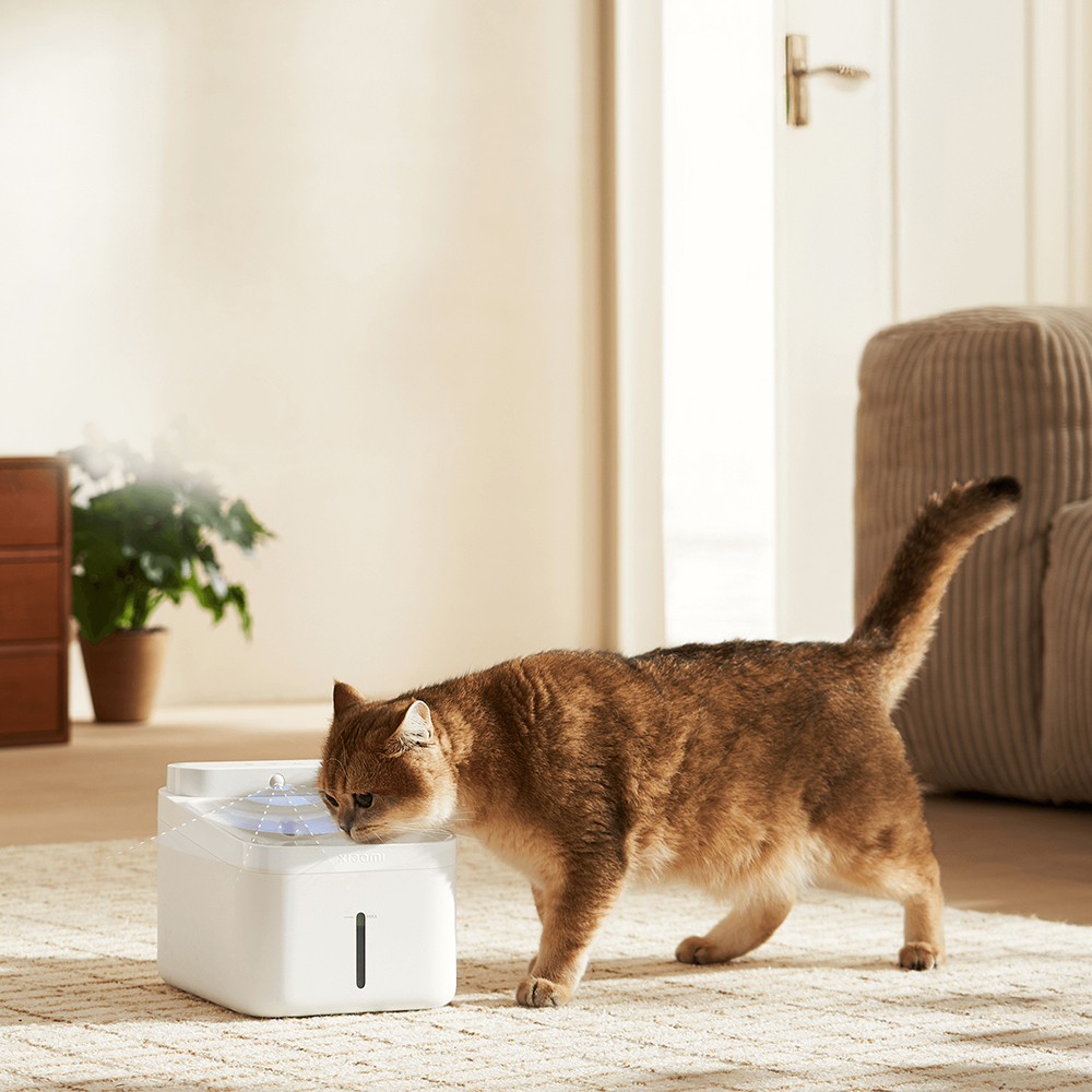 Un gatto che beve acqua da una fontanella bianca per animali domestici. Lo sfondo mostra un interno.