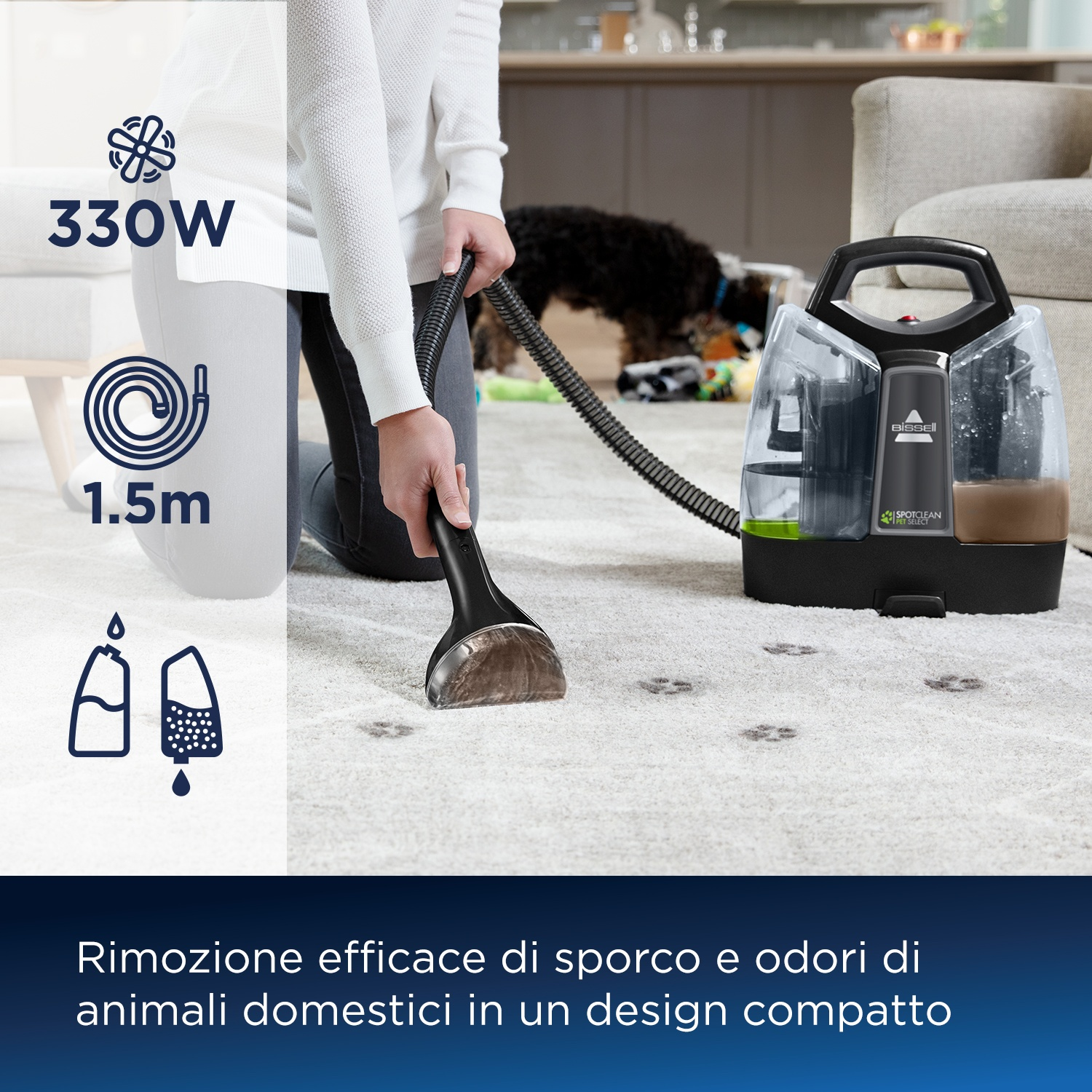 Persona che utilizza un pulitore per tappeti. Il pulitore ha manico, tubo e serbatoi d'acqua. Impronte di zampe visibili.