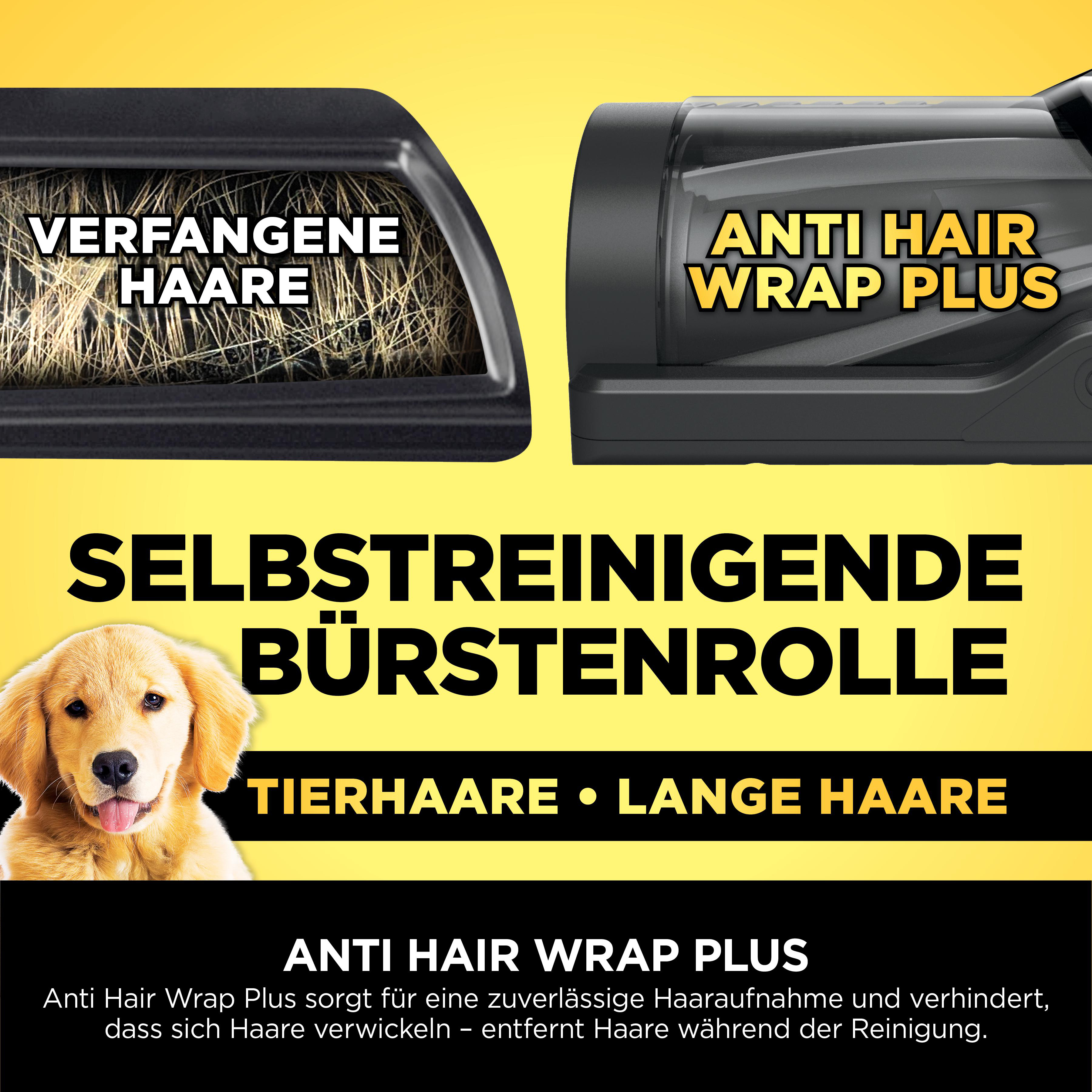 Bild zeigt Staubsaugerdetail mit Text zum Entfernen von Haaren und einem Golden Retriever.