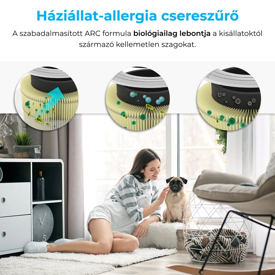 Nő és kutya egy szobában, egy szűrő diagramjával.