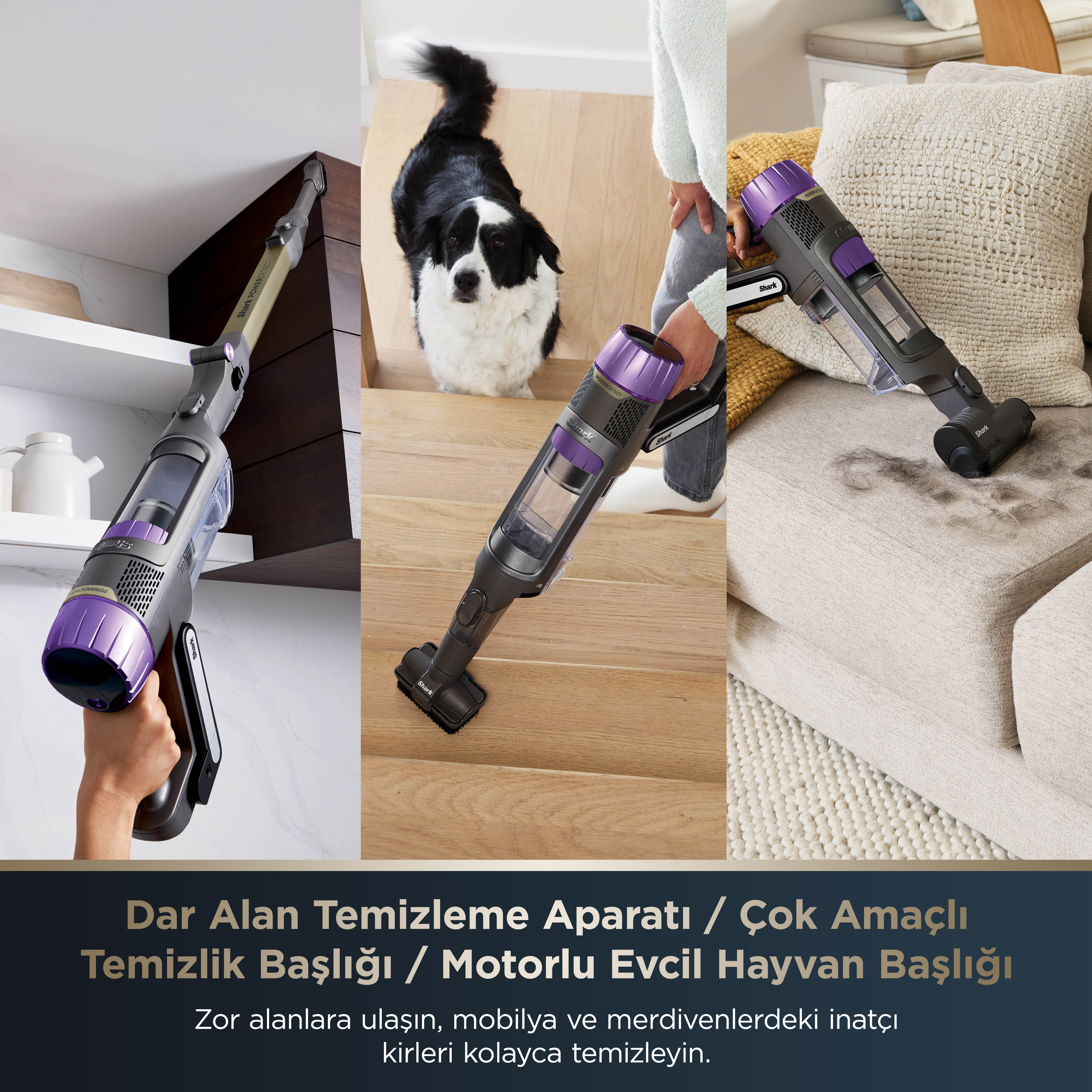 Kullanımda elektrikli süpürge. Üç sahne, merdivenlerdeki bir köpek dahil farklı temizlik senaryolarını gösterir.