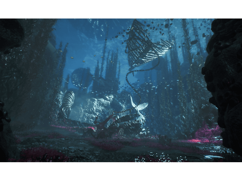 Clair Obscur: Expedition 33 - PlayStation 5 [Blu-ray] — Foto 3 von 5