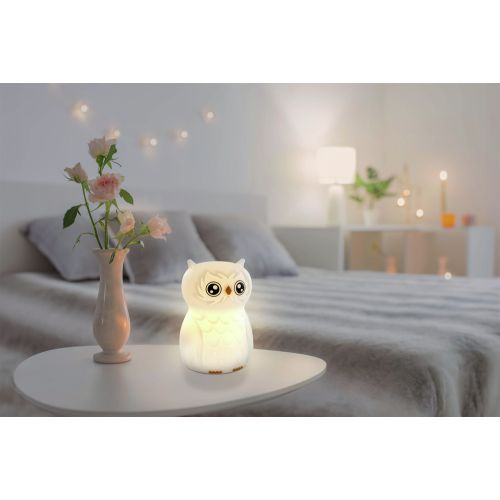 Eulen-Nachtlicht auf einem Tisch, mit Blumen und Bett im Hintergrund.