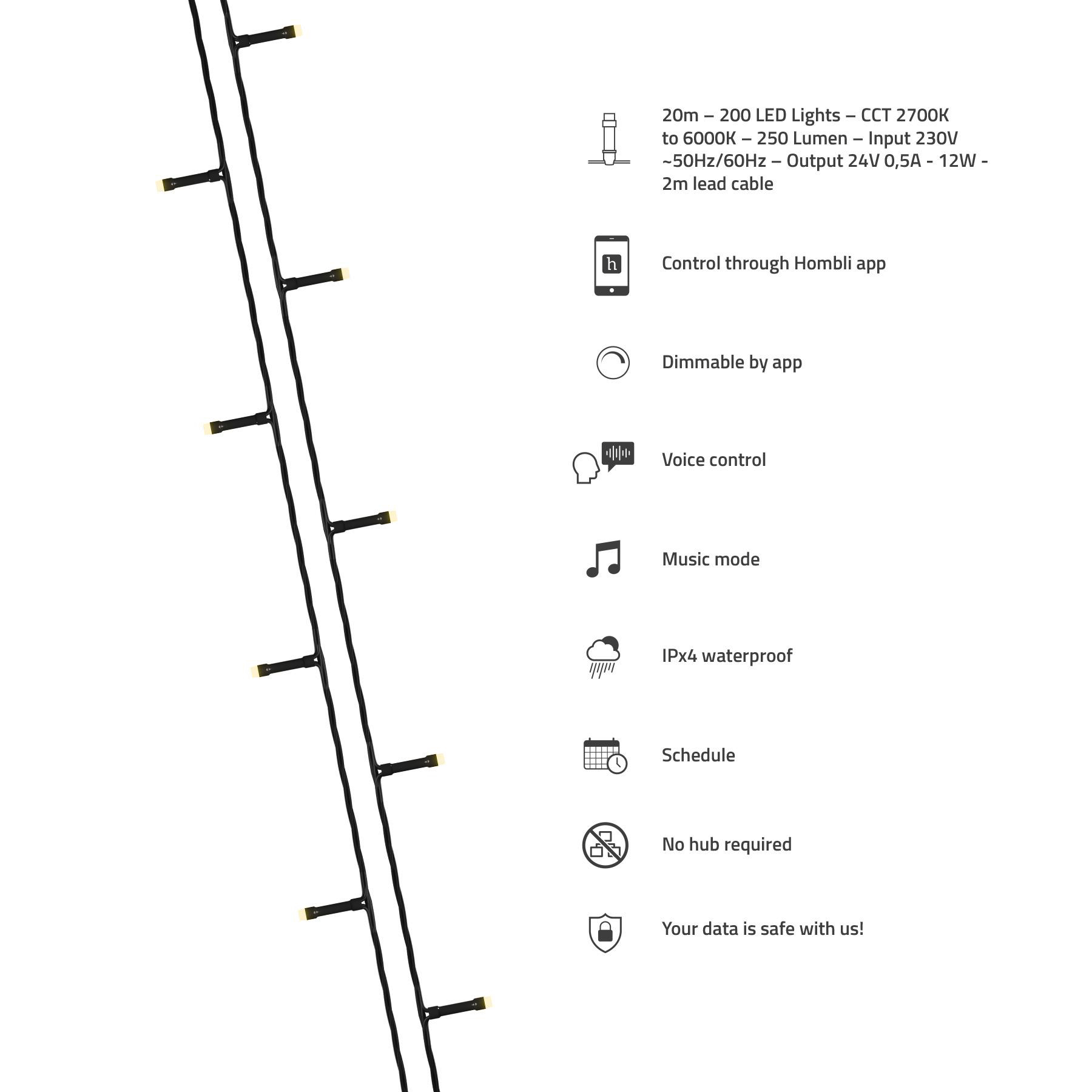 Lichterketten mit schwarzem Kabel. Zu den Funktionen gehören App-Steuerung, App-Dimmung, Sprachsteuerung, Musikmodus und Wasserdichtigkeit.